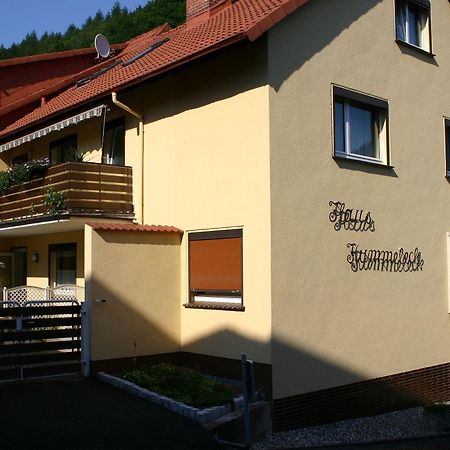 Haus-Kummeleck-Wohnung-3 Bad Lauterberg Buitenkant foto